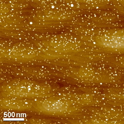 AFM image of quantum dots on gallium arsenide